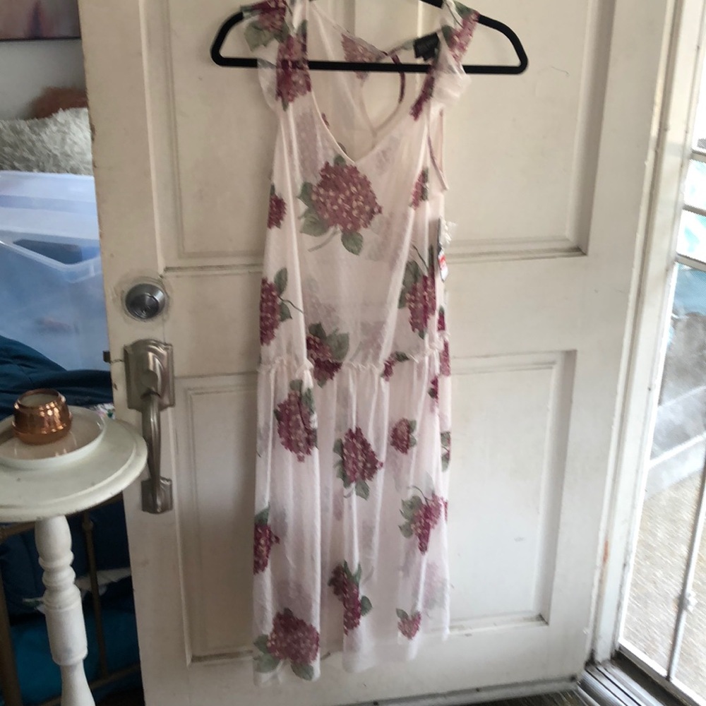 NORDSTROM SEE-THROUGH SHEER DRESS